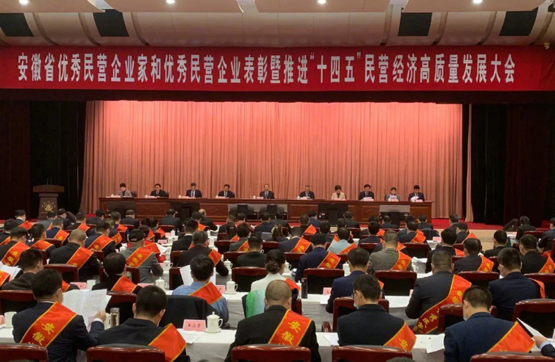 喜讯！3499拉斯维加斯科技总经理梁燕被授予“安徽省优秀民营企业家”称号