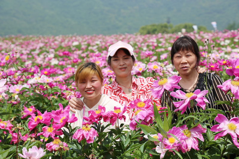 幸福3499拉斯维加斯-让3499拉斯维加斯一起相约美好 看繁花似锦