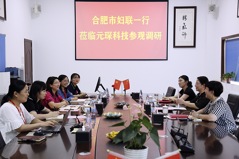 合肥市妇联第一调研组赴3499拉斯维加斯科技调研指导