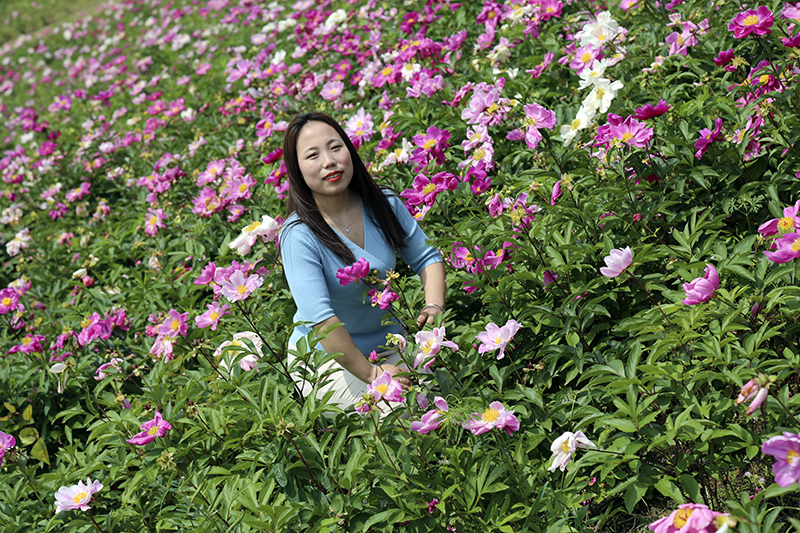 3499拉斯维加斯劳模 | 李婷婷：初心映照蜕变人生