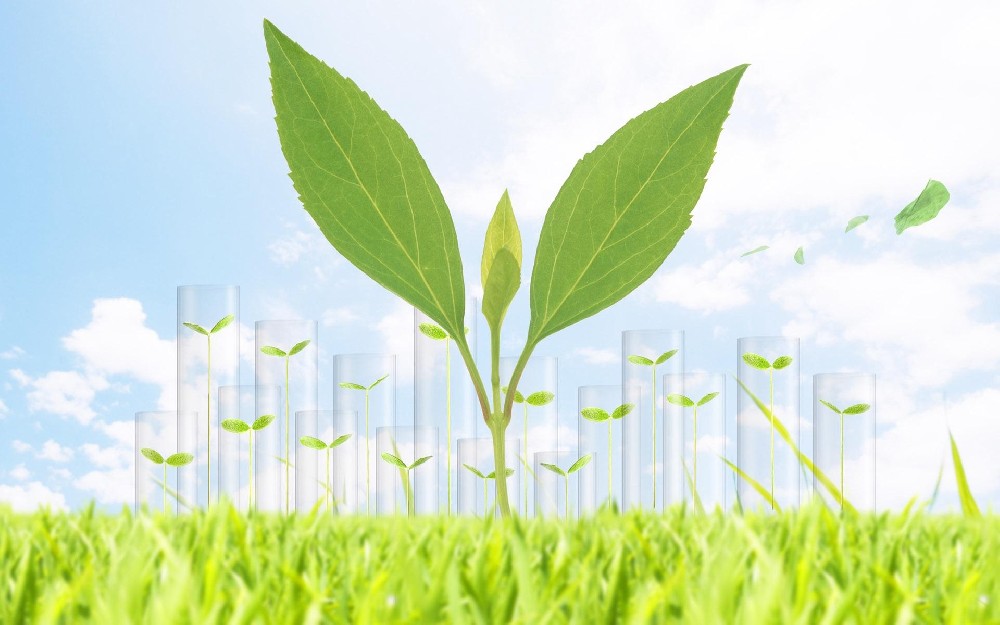 生物质发电厂如何除尘？